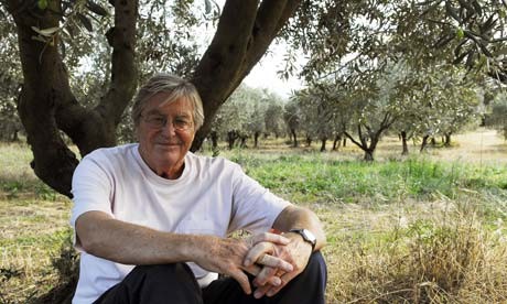 Питер мэйл под оливковым деревом в Провансе
